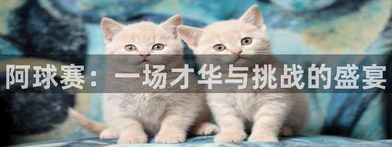 阿球赛：一场才华与挑战的盛宴