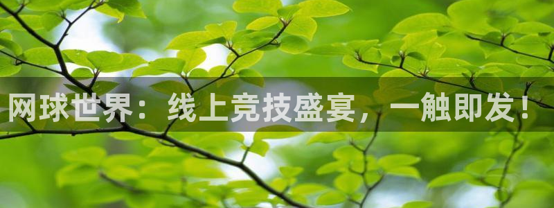 网球世界：线上竞技盛宴，一触即发！