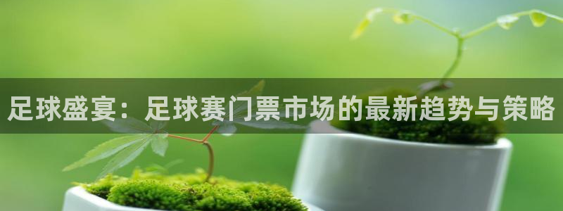 星空体育a：足球盛宴：足球赛门票市场的最新趋势与策略